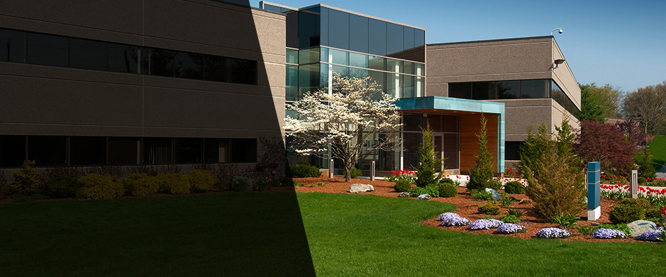 Magalia Landscapers