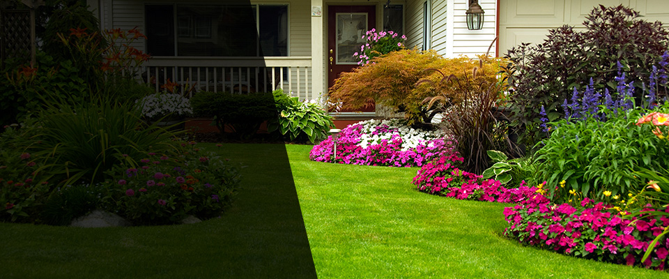 Magalia Landscapers