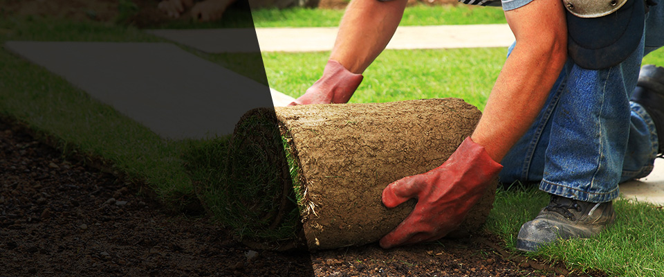 Magalia Landscapers